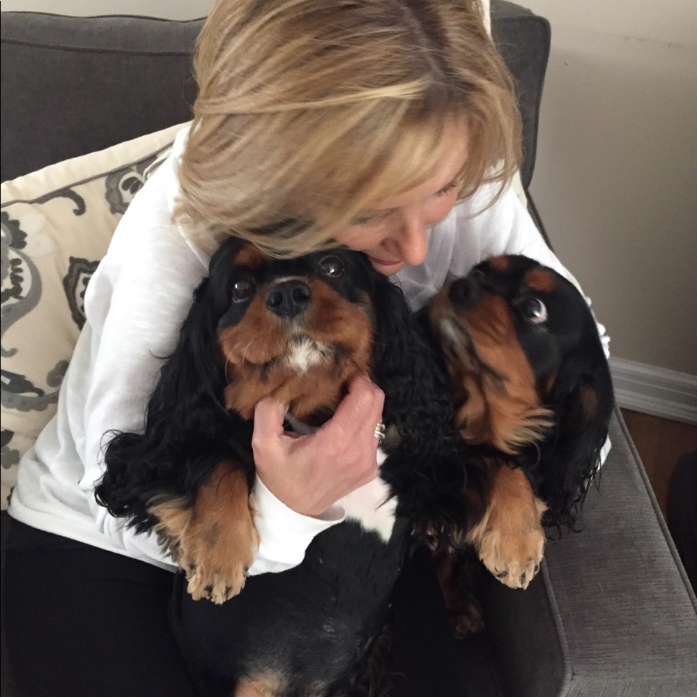 Meet your Posher, Teddy